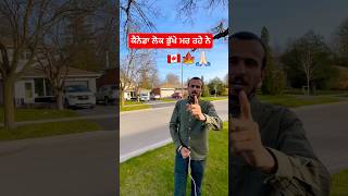 ਕੈਨੇਡਾ ਲੌਕ ਭੁੱਖੇ ਮਰ ਰਹੇ ਨੇ 🇨🇦🙏🏻🍁 canada shorts youtubeshorts [upl. by Ydnat]