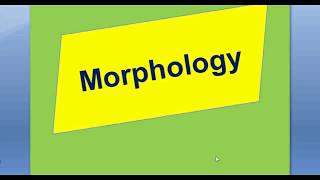 Morphology  lesson 2 Free Morphemes and Bound Morphemes [upl. by Nadine]