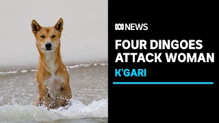 Woman attacked by four dingoes on Kgari Fraser Island  ABC News [upl. by Atiuqes670]