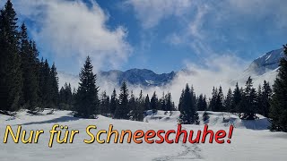 Schneeschuhtour Tormetz [upl. by Essile460]