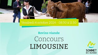 Sommet de lélevage 2024  Bovins viande  Concours Limousine  04102024 [upl. by Aiym]