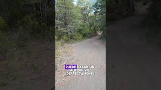 🌲 De Vuelta al Bosque Sendero Amplio con Vistas al Volcán Osorno 🌋 trekkingchile travel viajes [upl. by Martha867]