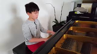 Playing Beethoven Leichte Sonate for fun on my Blüthner grand piano [upl. by Falcone]