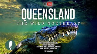 Australia’s Wild Northeast  Wildlife Documentary 4K  Queensland Animals and Landscapes [upl. by Ermentrude833]