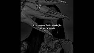 Soolking feat Dadju  Meleğim slowed  reverb [upl. by Aisad]