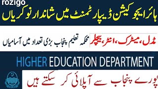 Higher Education Department Jobs 2024  HED Jobs 2024 Online Apply [upl. by Assirem498]