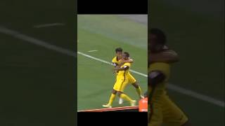 Malaysias Players Forgot About the Match While Celebrating [upl. by Colis702]