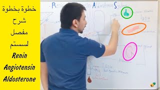 شرح مفصل خطوة بخطوة لسستم Renin Angiotensin Aldosterone [upl. by Cole720]