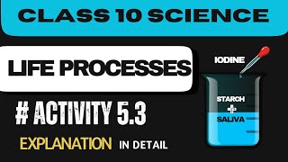 Activity 53  Class 10  Science  Chapter 5  Life Processes Explanation  NCERT Activities [upl. by Torry]