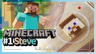 Minecraft Steve Perler Beads making  Pyssla ideas easy  펄러비즈 마인크래프트 스티브 만들기 [upl. by Alastair]