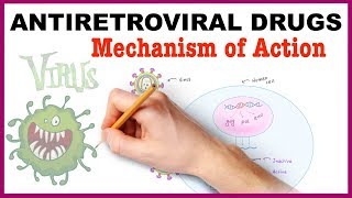 Antiretroviral Drugs Pharmacology  Mechanism of Action [upl. by Eckardt]