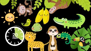 Baby Sensory Rainforest Animal Fun for Little Explorers [upl. by Yrehcaz]