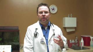 Cat Care Fleas amp Parasites  What Medication Is Used to DeWorm a Cat [upl. by Knut]