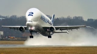 Airbus Beluga A300600ST  Takeoff at Hamburg Finkenwerder [upl. by Woodie452]