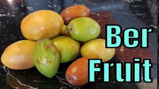 Indian Jujube Review Ziziphus mauritiana  Weird Fruit Explorer Ep 303 [upl. by Artinad]