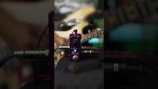 Suhr Mini Riot  Amp In a Box guitar overdrivepedals suhr suhrguitars [upl. by Twyla355]