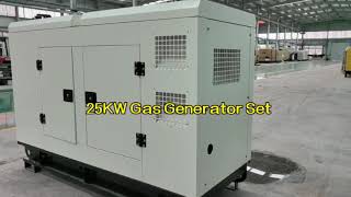 25kw Gas generator setscng Lpg biogasnatural [upl. by Ecnerwal793]