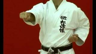 Basic Karate Punches Chokuzuki  Straight punch [upl. by Beshore]