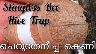 Cherutheneecha Hive Trap  Stingless Bee Hive Trap  Using Coconut Shell [upl. by Ielerol]