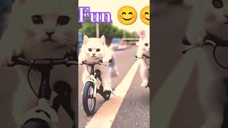 funny video shots funny entertainment animals cat [upl. by Manuela]