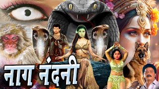 Naag Nandani नाग नंदनी New Movie 2024 उसके आने से मौत बरसती है Royal Star Movies [upl. by Seadon154]