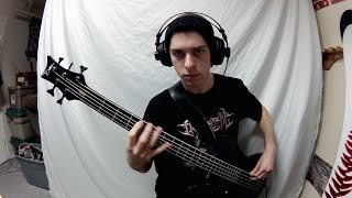 Dying Fetus  Subjected to a Beating Bass Cover [upl. by Siladnerb]