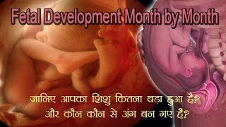 Month by Month Baby Development हरेक महीने आपका शिशु ऐसे बढ़ता है [upl. by Nivej345]