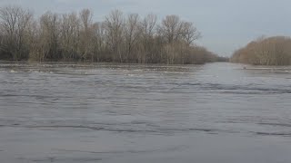 Piena del Po a Cremona gli effetti sulla fauna [upl. by Ag492]