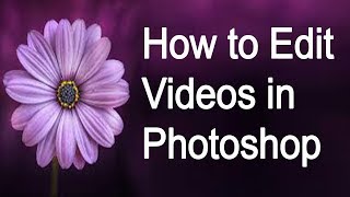 How to Edit Videos in Photoshop  in Tamil [upl. by Nylcsoj]