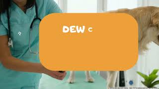 Dew Claw Removal Complications [upl. by Aelat]