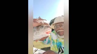 Catch Clean and Cook  Chesapeake Bay Fish Kingfish Whiting [upl. by Player]