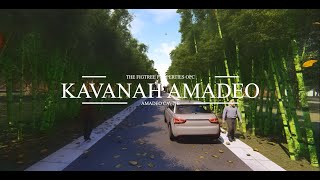 3D Walkthrough of Kavanah Amadeo 1 [upl. by Yretsym]