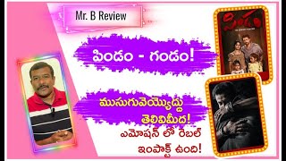 Pindam Movie Review Telugu  Prabhas Salaar movie Sooreede song Response  Prashanth Neel  Mr B [upl. by Nidia706]