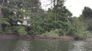 Old town saranac 146 canoe with motor guide 34 trolling motor test [upl. by Nagap]