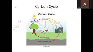 O Level Biology 5090 Chapter 19 Part 2 Nutrient cycles and biodiversity [upl. by Zurek]