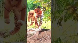 Toy tiger sleeping 😴 dog reaction waiting for and 😱 funny dogprankcomedy faketigerprankcomedy [upl. by Yrret]