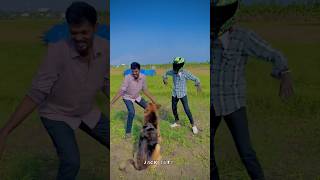 🦋 song Jack reaction😂😅 dog jacky funny viral trending love trending thoothukudi comedy [upl. by Yecats221]