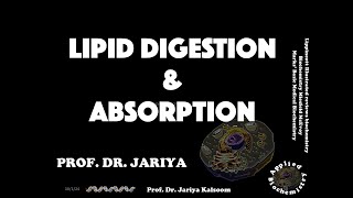 LIPID DIGESTION amp ABSORPTION [upl. by Nedra147]