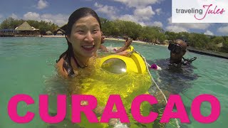 CURACAO Things to Do in Curacao [upl. by Epuladaugairam]