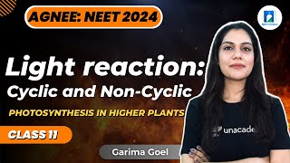 Light Reaction  Cyclic and NonCyclic  Class 11  NEET 2024  Biology  Garima Goel [upl. by Assirahs486]