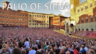 THE PALIO OF SIENA – Italy 🇮🇹 HD [upl. by Enilorac]