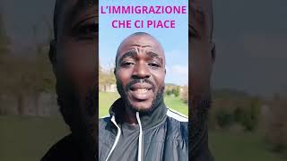 L’IMMIGRAZIONE CHE CI PIACE [upl. by Aleyam]