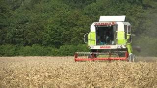 Claas Mega 202 beim Dreschen [upl. by Antsirhc790]