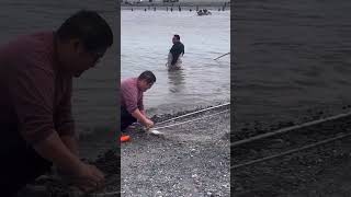 Dip Netting Salmon Fishing in AK hmongfishing salmonfishing fishing contest alaskafishing [upl. by Fermin]