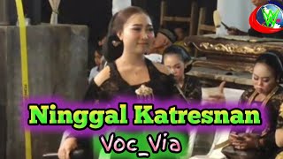 NINGGAL KATRESNAN vocvia campursari mudho laras live badong desa nglutung sendang tulungagung [upl. by Mungam]