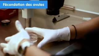 IVI Cliniques de procréation assistée  Fécondation in vitro résultats UE 2014 [upl. by Ahsayn]