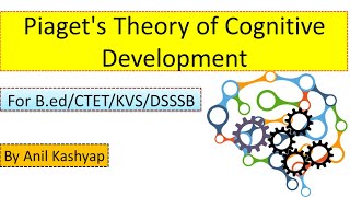 Piagets Theory of Cognitive Development CTETDSSSBKVSBed by Anil Kashyap [upl. by Naux]