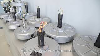 Low rpm vertical generator 500Watt 1kw 5kw 10kw vertical wind turbine pmg [upl. by Nylakcaj]