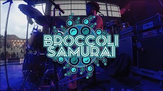 Rick and Morty theme song performed live by Broccoli Samurai [upl. by Angil]