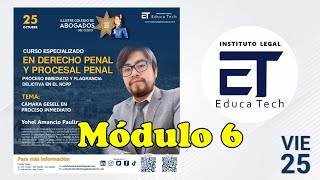 CURSO ESPECIALIZADO EN DERECHO PENAL Y PROCESAL PENAL  ILET  YOHEL AMANCIO PAULINO [upl. by Pam]